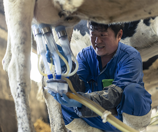 Happy Land 安達牧場 酪農家民宿あだちんち